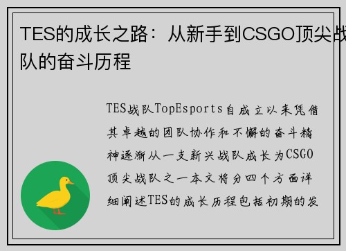 TES的成长之路：从新手到CSGO顶尖战队的奋斗历程